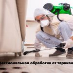 Professional treatment for cockroaches