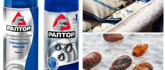 Raptor for bedbugs