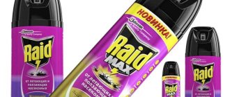 Рейд от блох в квартире