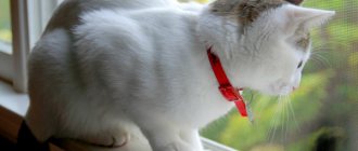 Rating of flea and tick collars
