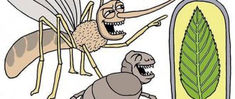 репеллент это