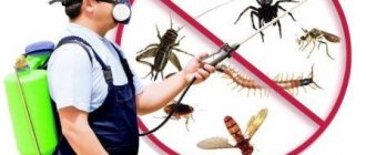 Ways to control domestic insects