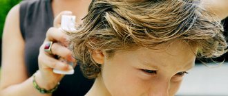 Lice spray