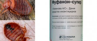 Remedy for bedbugs "Fufanon"