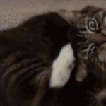 средство после укусов комаров