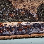 Such nests can be found even in luxury hotels in Dubai and Mauritius