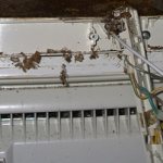 Тараканы в бытовой технике