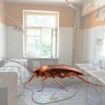 Тараканы в общаге