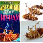 Thiuram for cockroaches