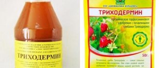 Trichodermin: composition of the drug, reviews, analogues, methods of use in the garden