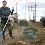 уборка растительных остатков в теплице