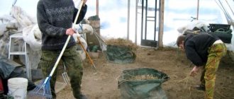 уборка растительных остатков в теплице
