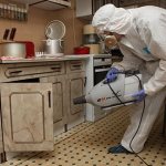 We destroy bedbugs using cold fog: the essence of the method, its effectiveness, safety measures, review of the most popular manufacturers