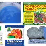 Внешне готовая жидкость Пруста выглядит как суспензия немного разбелённого голубого цвета. Это не раствор, частицы компонентов распределены в жидкости в виде тонкой однородной взвеси.