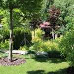 Pests and diseases of deciduous trees: photos and control measures