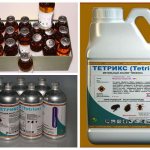 Выгоднее всего приобретать Тетрикс в больших объемах, так можно будет существенно сэкономить, но для домашнего пользования канистры будет слишком много (достаточно 50 мл)