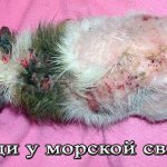 Запущенная болезнь