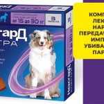 Жевательные таблетки Нексгард Спектра - защита собаки от паразитов