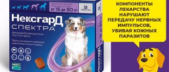 Nexgard Spectra chewable tablets - protecting your dog from parasites